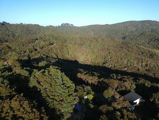 Photo 23 for Waiotoi - The Bush Hideaway - Tutukaka