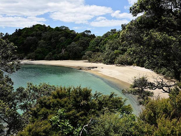 Photo 20 for Waiotoi - The Bush Hideaway - Tutukaka