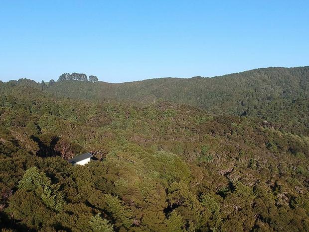 Photo 24 for Waiotoi - The Bush Hideaway - Tutukaka