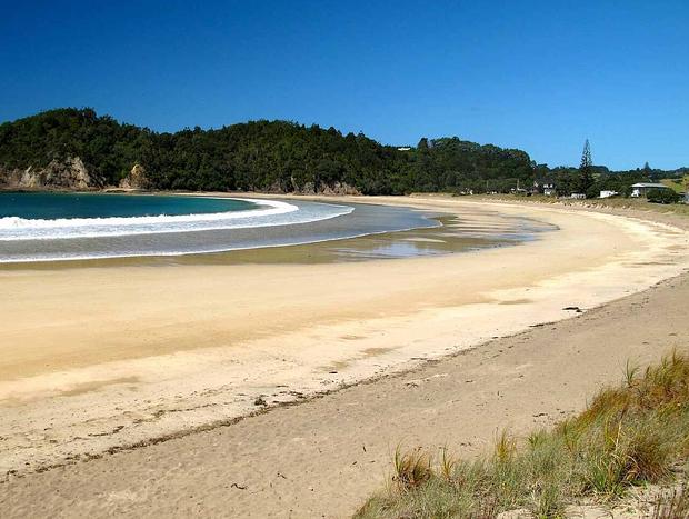 Photo 25 for Waiotoi - The Bush Hideaway - Tutukaka