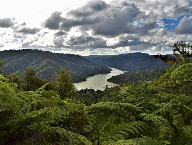 Photo 2 for Hunua Ranges Regional Park