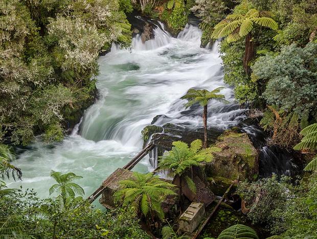 Photo 1 for Okere Falls Scenic Reserve