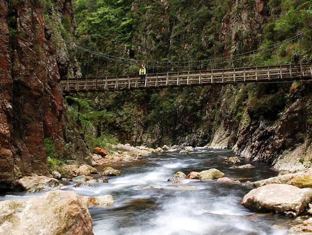 Photo 1 for Karangahake Gorge