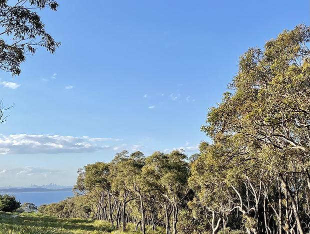 Photo 38 for The Royale Bundeena - a designer beach house in the Royal National Park!