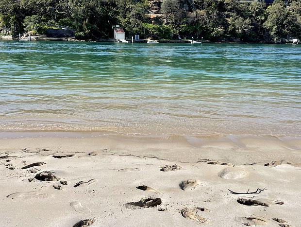 Photo 34 for The Royale Bundeena - a designer beach house in the Royal National Park!