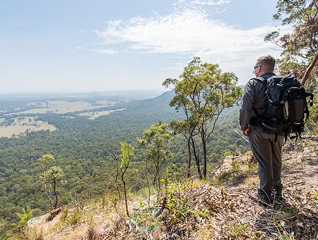 Photo 1 for Turners Walking Track
