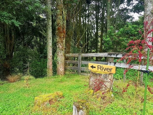 Photo 24 for Rua Awa Lodge - A Rural Gem - Breakfast Provisions Included
