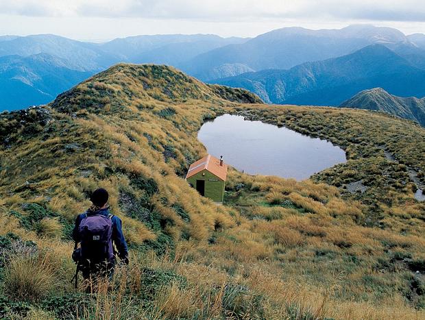 Tararua Forest Park