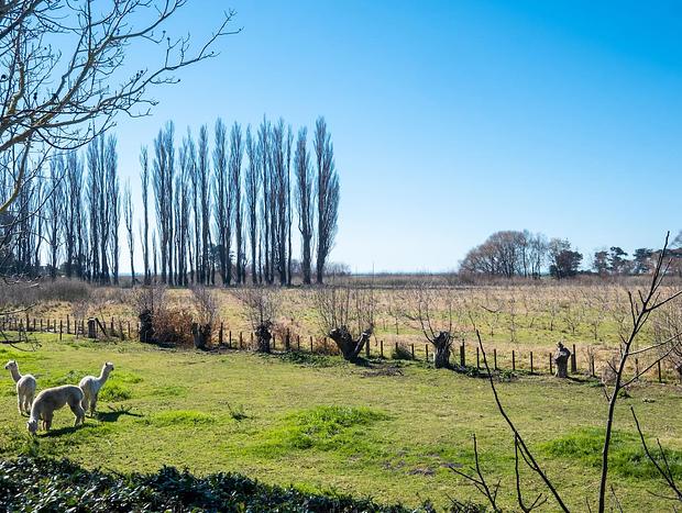 Photo 24 for Te Awanga Cottages - Moana