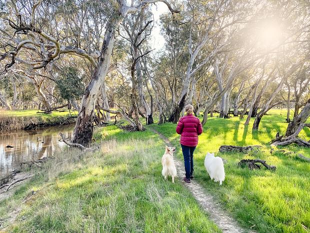 Photo 15 for Idyllic Farm Retreat on the River