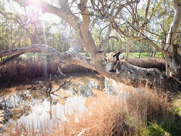 Photo 5 for Idyllic Farm Retreat on the River