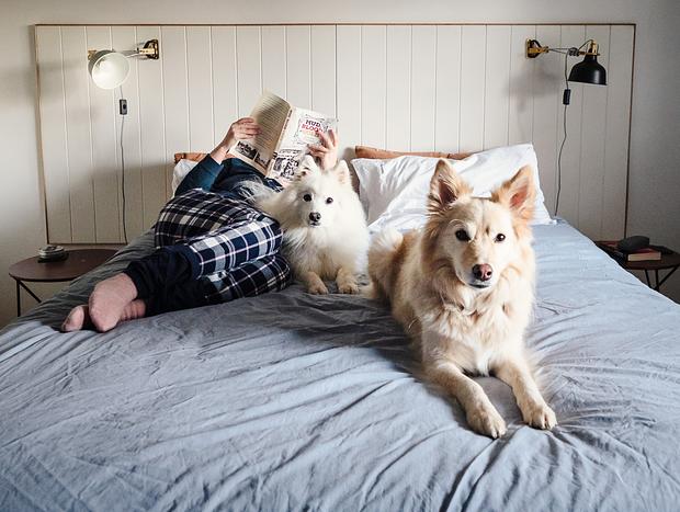 Photo 11 for Dog-friendly Delight in the Gold Country