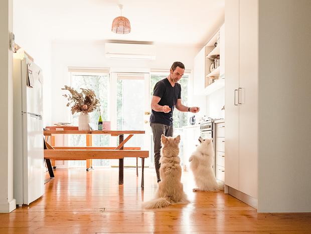 Photo 13 for Dog-friendly Delight in the Gold Country