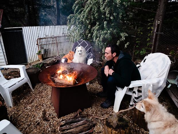 Photo 9 for Dog-friendly Delight in the Gold Country