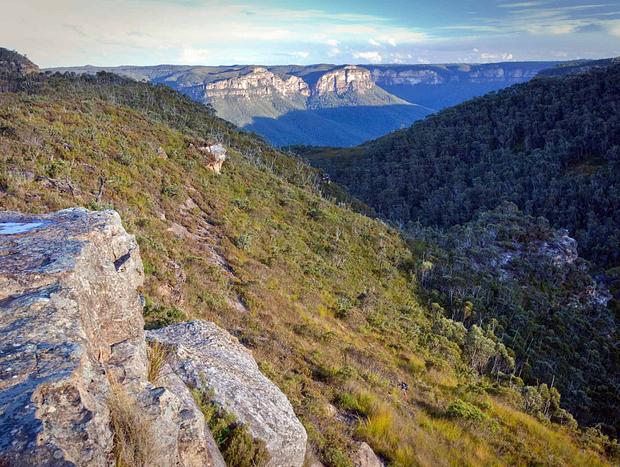 Photo 5 for Mount Banks Summit Walk