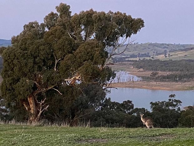 Photo 11 for Daisy Hill Lodge Bonnie Doon - The Boat House