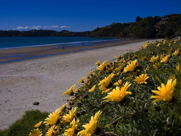 Photo 5 for Onetangi Beach