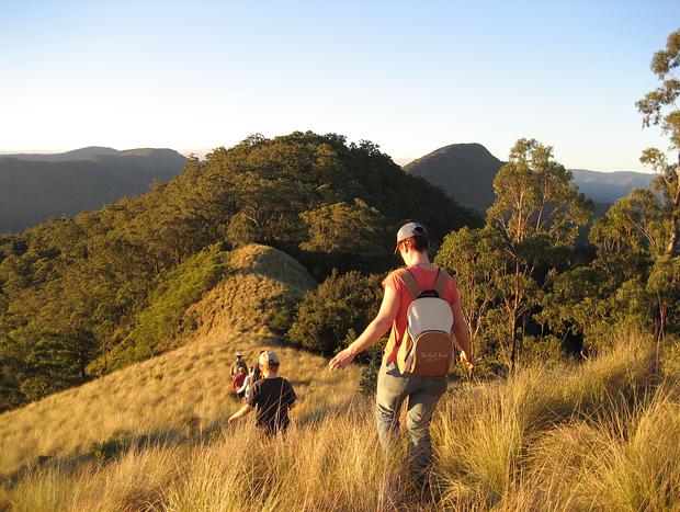 Photo 19 for Callicoma Hill Eco-cabin on the forested mountainside