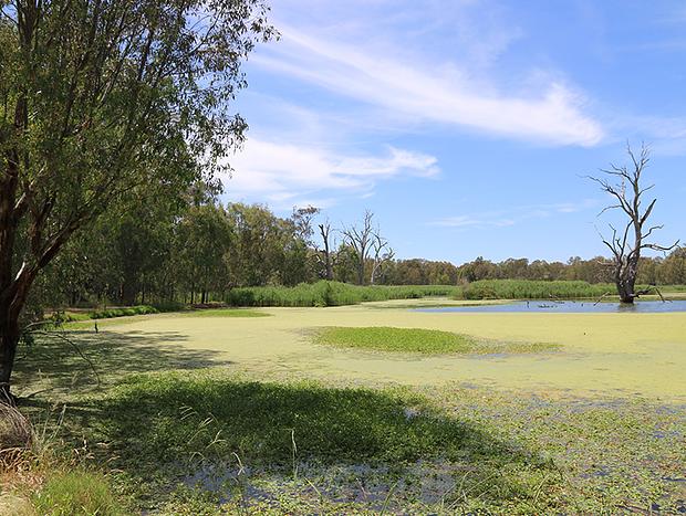 Horseshoe Lagoon
