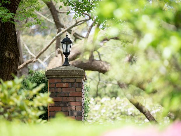 Photo 13 for Verandah View Cottage - Outdoor Spa