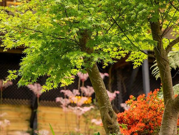 Photo 11 for Garden Suite - Dandenong Ranges / Mount Dandenong