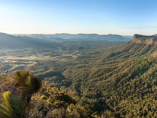 Photo 2 for Border Ranges National Park