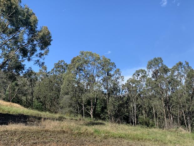 Photo 19 for Rosebrook Eco Tiny Home 1