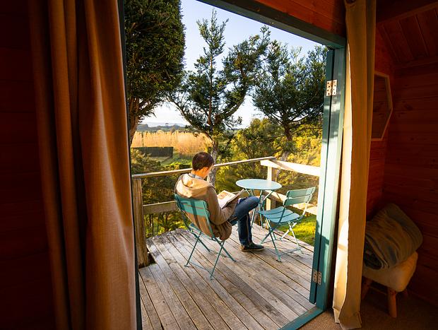 Photo 5 for A Treetop Hideaway