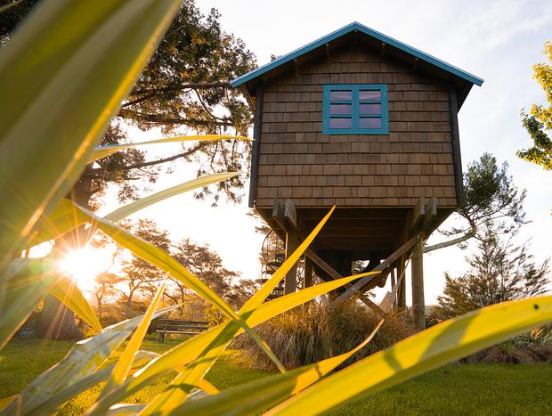 Photo 10 for A Treetop Hideaway