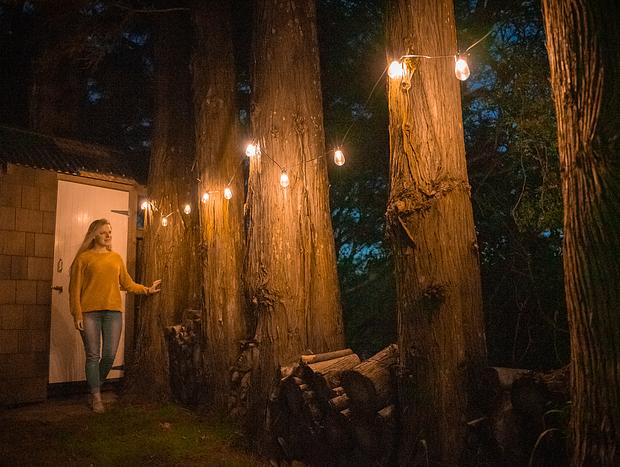 Photo 9 for A Treetop Hideaway