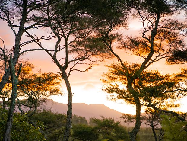 Photo 8 for A Treetop Hideaway