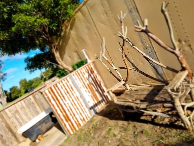 Photo 27 for Woodstock Dreamers Glamping bus/outdoor bath Milton