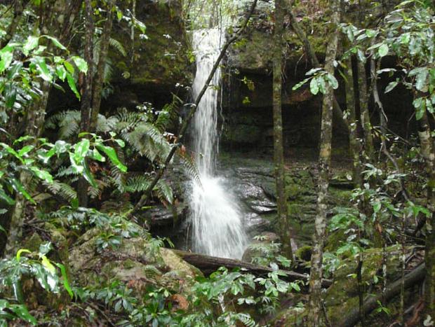 Photo 1 for Waitui Falls