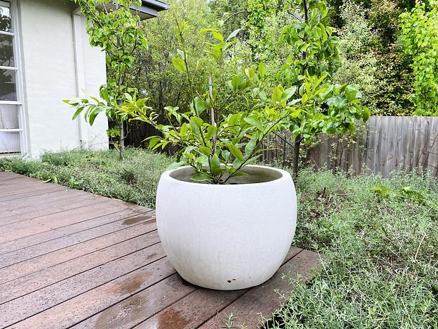 Photo 30 for Saltwood Mornington