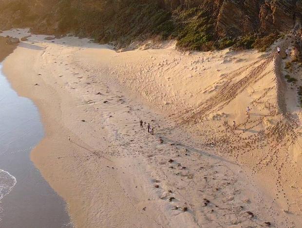 Photo 33 for The White House at Morgans Beach