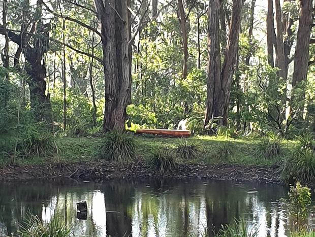 Photo 13 for The Humpy: A great place for a romantic getaway!