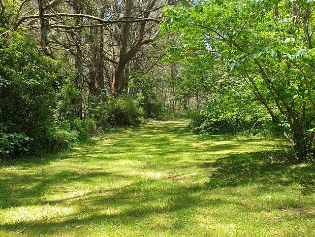 Photo 14 for The Humpy: A great place for a romantic getaway!