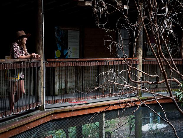 Photo 1 for Blackbutt Reserve Wildlife Park