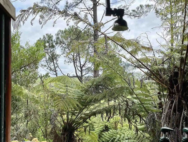 Photo 19 for Ponga Iti Bush Cabin