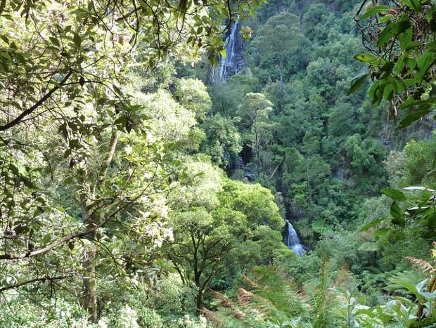 Sheoak Falls