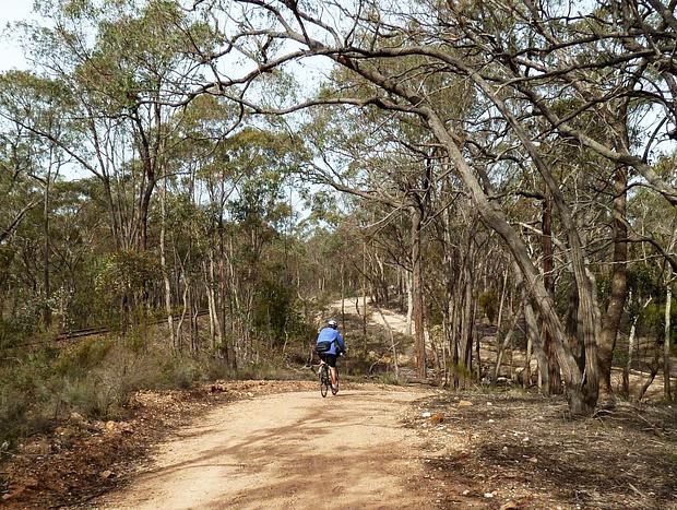 Castlemaine to Maldon Trail