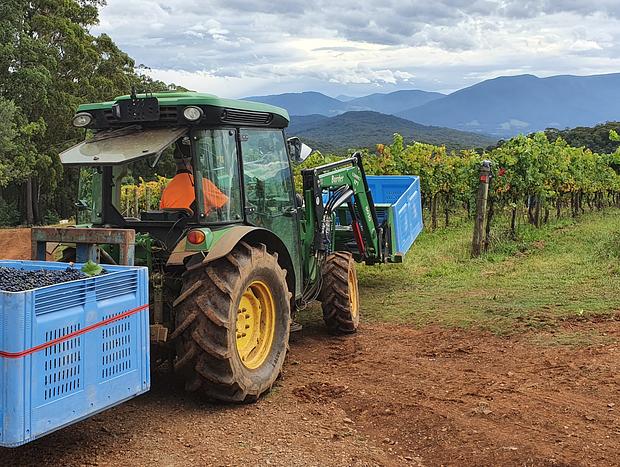 Photo 18 for KiNam Vinea - A vineyard farmhouse in the Yarra Valley