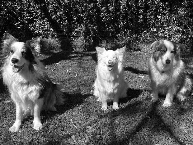 Photo 12 for Byron View Farm