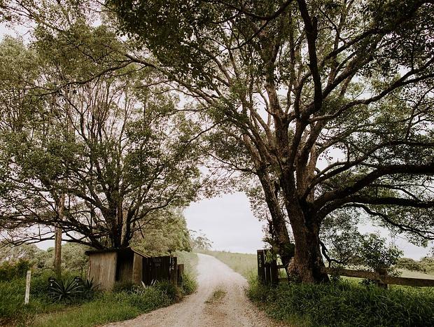 Photo 4 for Byron View Farm