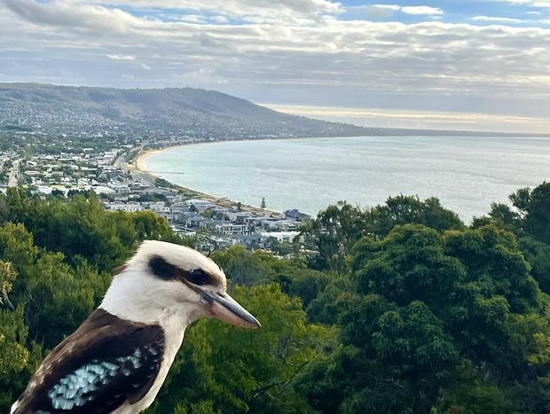 Photo 30 for Kinoie Mornington - Oceanview
