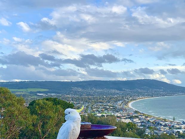 Photo 32 for Kinoie Mornington - Oceanview