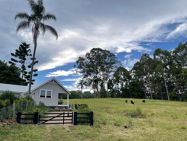 Photo 4 for Bangalow Bails