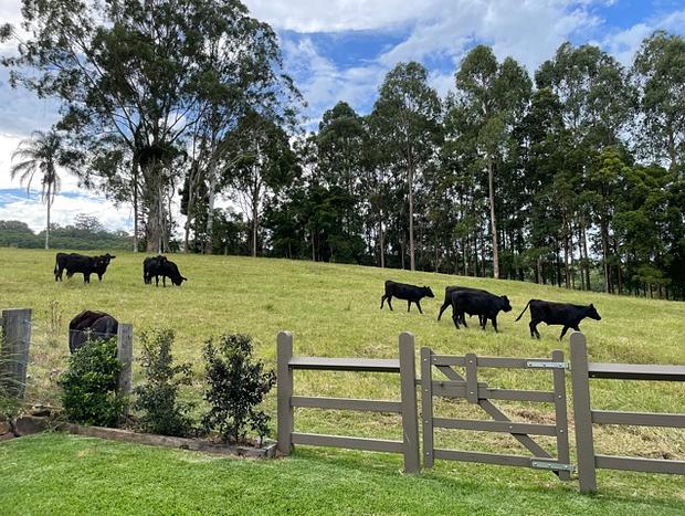 Photo 16 for Bangalow Bails