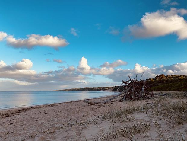 Photo 14 for Beresford Beach House on the Reserve