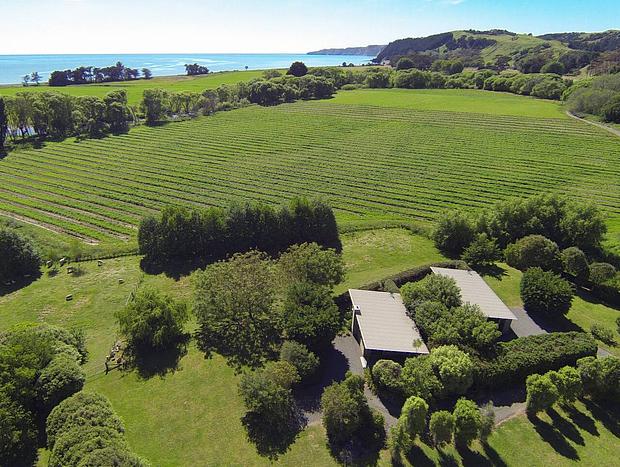 Photo 13 for Te Awanga Cottages - Awa